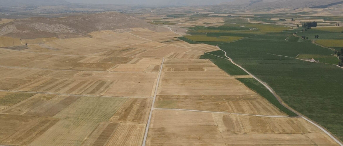 KONYA-GUVERCINLIK.jpg