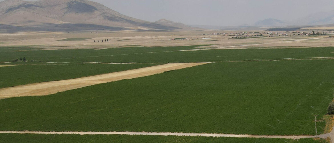 TOKAT-TURHAL-AT-VE-TIGH-1.jpg