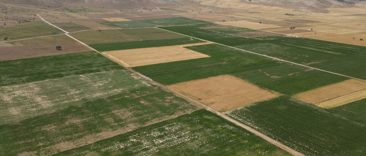 BAHCELIK-3.-KISIM-AT-VE-TIGH.jpg